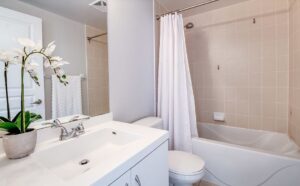 Bathroom remodeling Ozark, MO